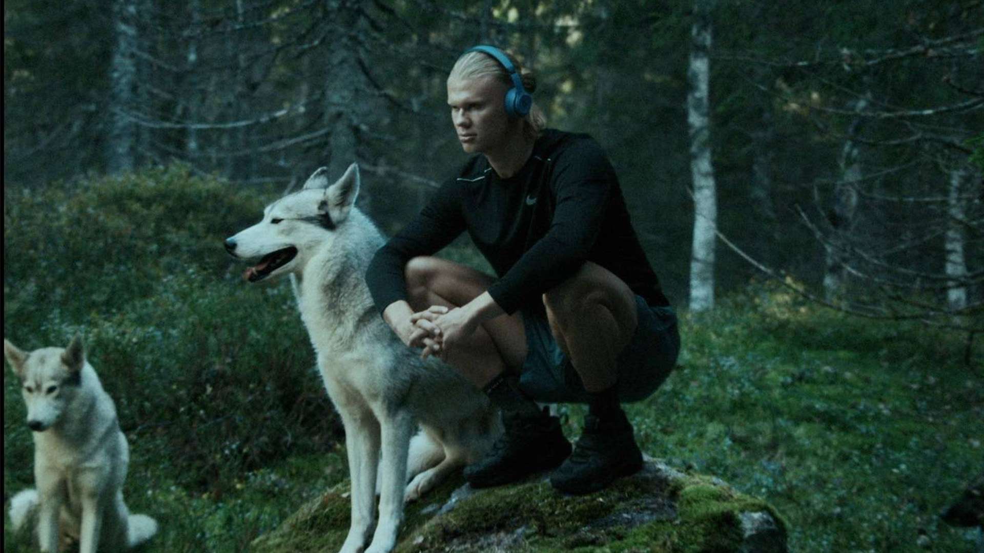 是争取进入 是争取进入